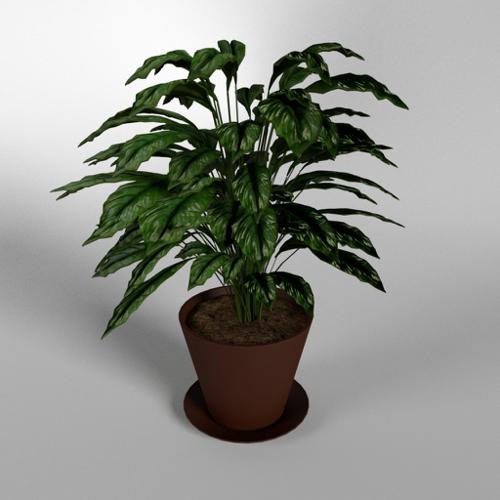 Living room plant preview image